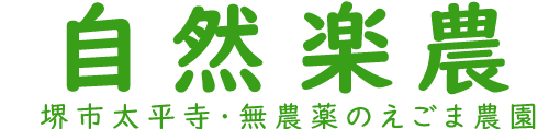 堺市太平寺の自然楽農